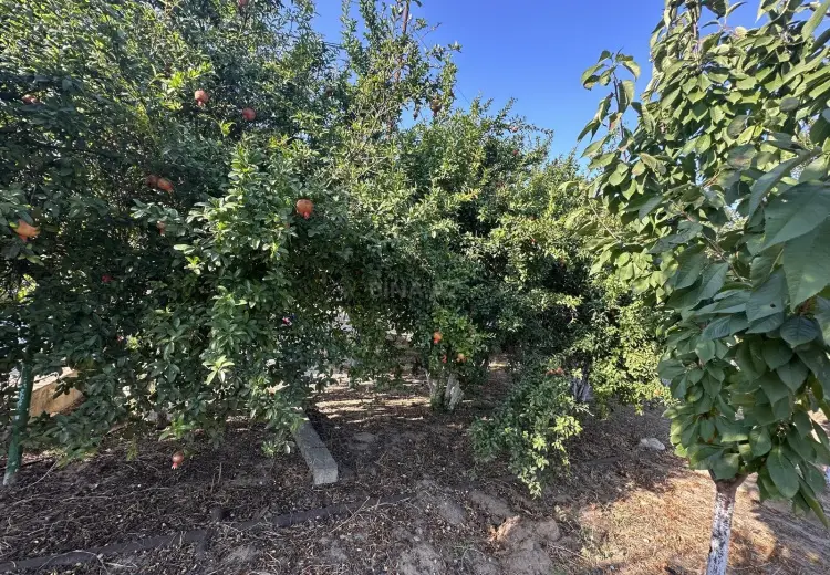 4 otaqlı mənzil Satılır, Nardaran qəs., Sabunçu, Bakı