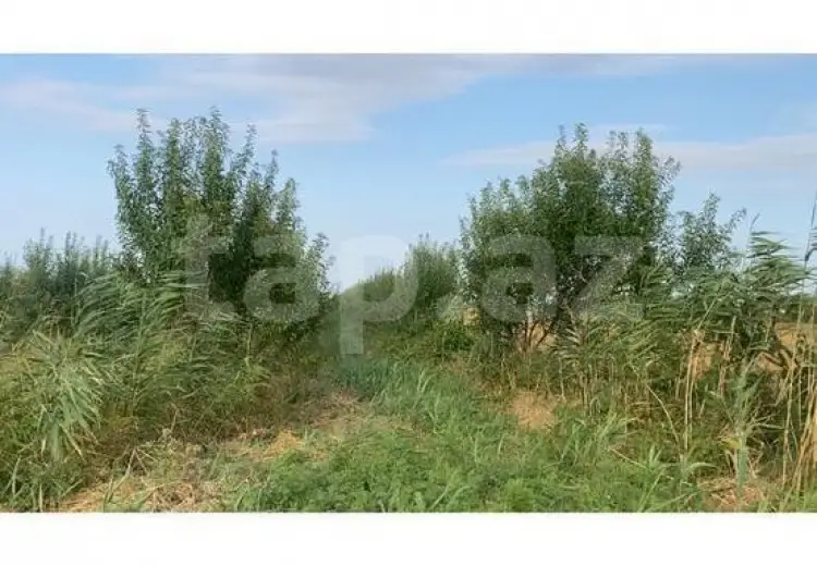 0 m² Obyekt / Ofis , Şabran