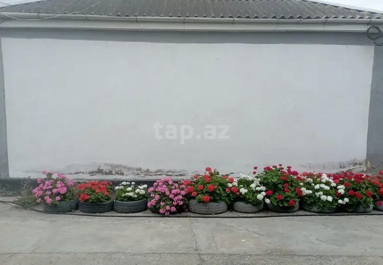4 otaqlı mənzil , Xaçmaz