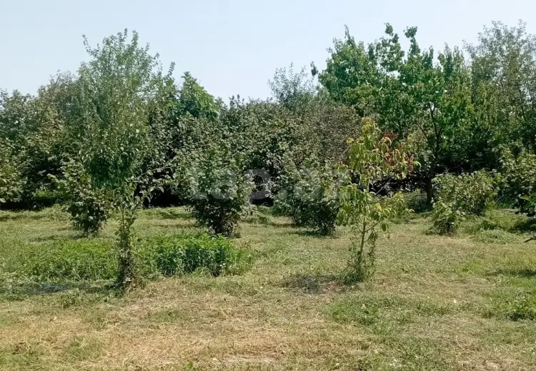 4 otaqlı mənzil , Xaçmaz
