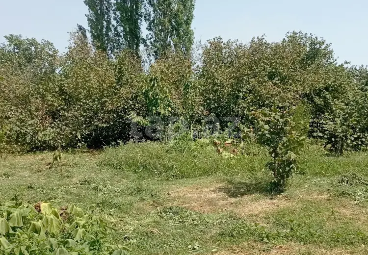 4 otaqlı mənzil , Xaçmaz