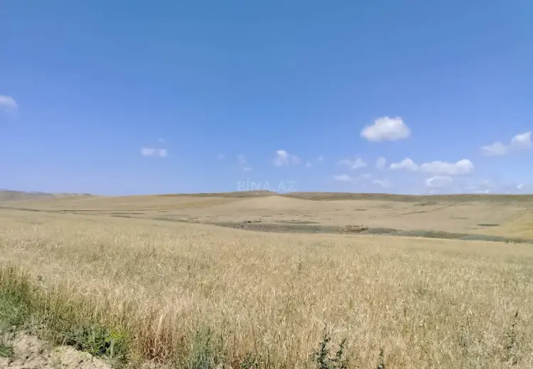 1898.7 sot Torpaq Satılır, Yevlax