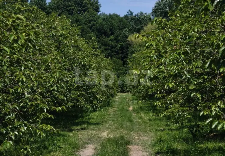 0 m² Obyekt / Ofis , Xaçmaz