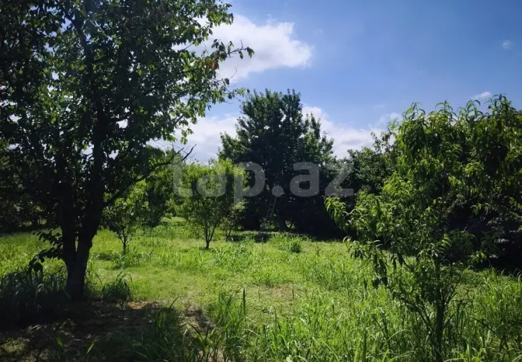 0 m² Obyekt / Ofis , Xaçmaz