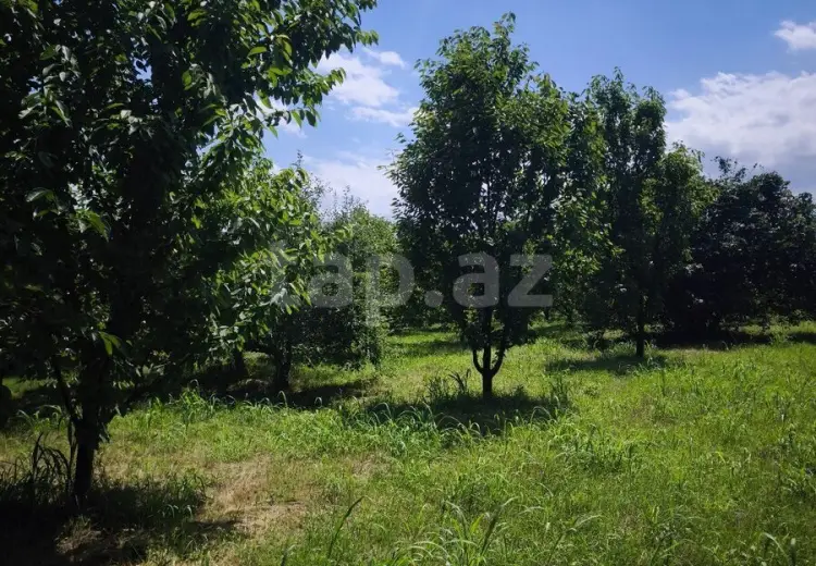 0 m² Obyekt / Ofis , Xaçmaz