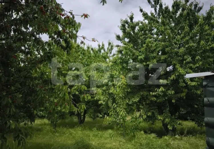 0 m² Obyekt / Ofis , Xaçmaz