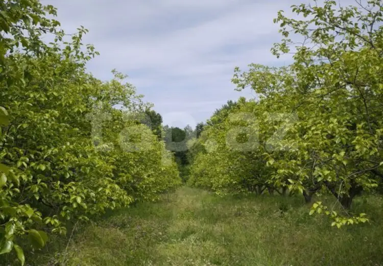 0 m² Obyekt / Ofis , Xaçmaz