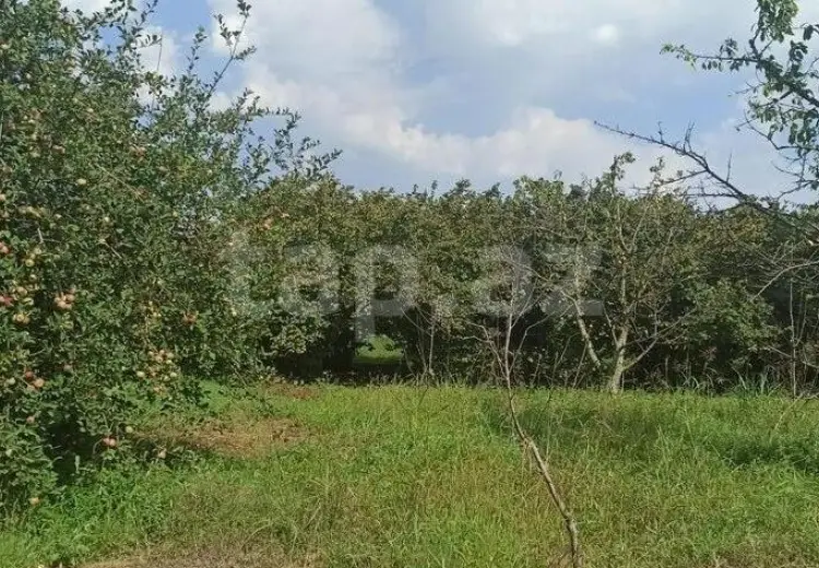 0 m² Obyekt / Ofis , Xaçmaz