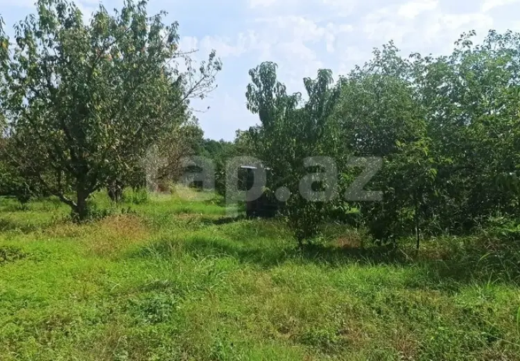 0 m² Obyekt / Ofis , Xaçmaz