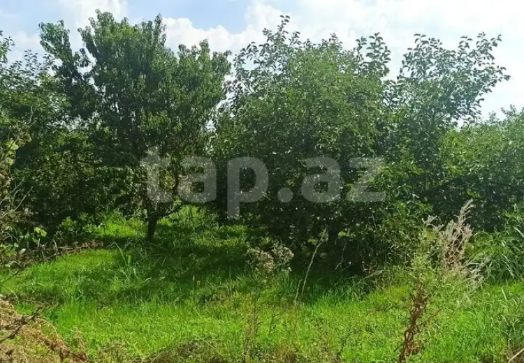 0 m² Obyekt / Ofis , Xaçmaz