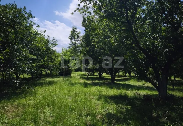 0 m² Obyekt / Ofis , Xaçmaz