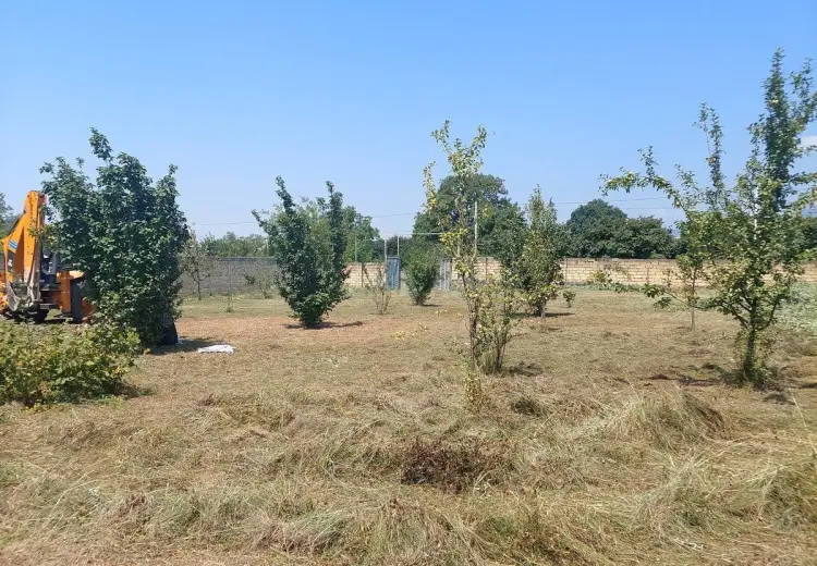 25 sot Torpaq Satılır, Oğuz