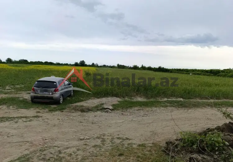 3 sot Torpaq Satılır, Xaçmaz