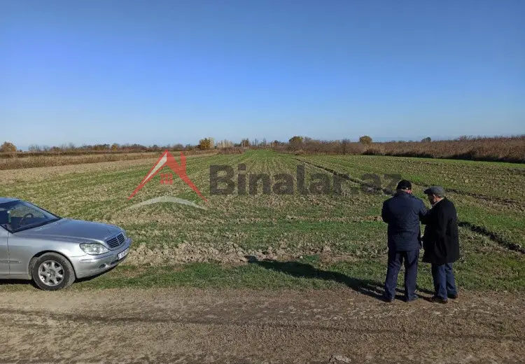 3 sot Torpaq Satılır, Xaçmaz