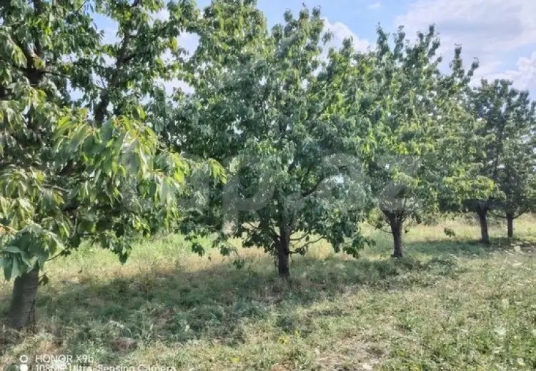 0 m² Obyekt / Ofis , Quba