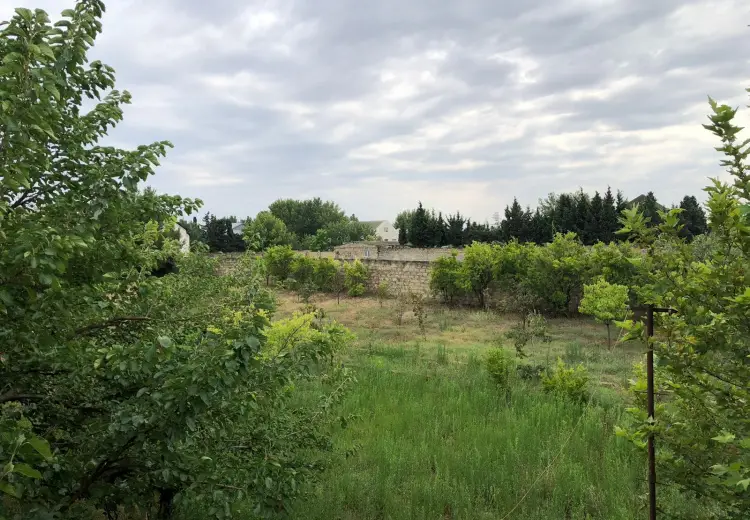 40 sot Torpaq Satılır, Pirşağı qəs., Sabunçu, Bakı