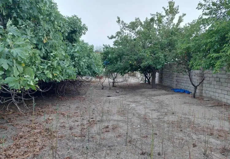 4 sot Torpaq Satılır, Nardaran qəs., Sabunçu, Bakı