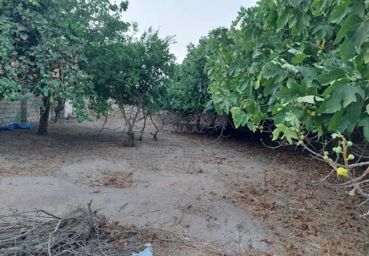 4 sot Torpaq Satılır, Nardaran qəs., Sabunçu, Bakı