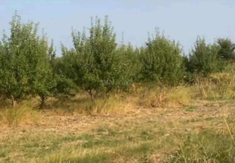 412 sot Torpaq Satılır, Şabran