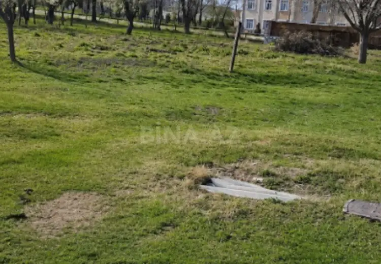 8 sot Torpaq Kirayə (aylıq),