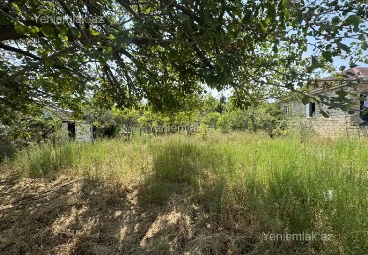 6 sot Torpaq Satılır, Novxanı, Abşeron