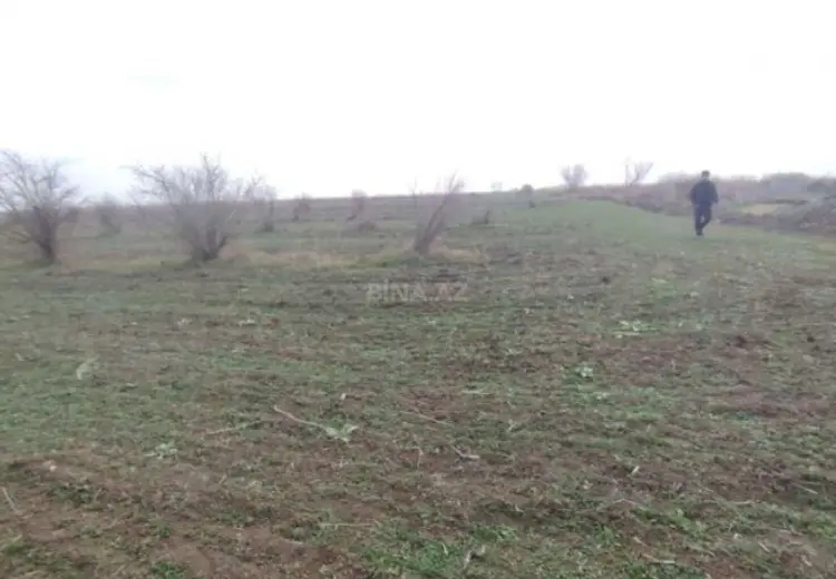 4630.1 sot Torpaq Satılır, Biləsuvar