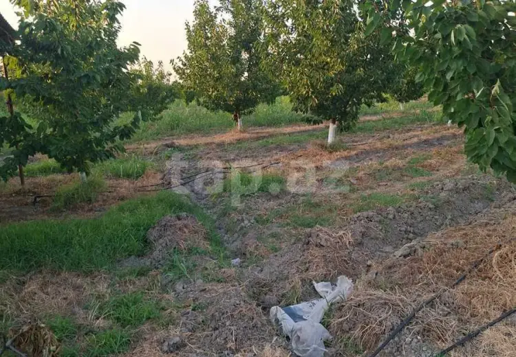 0 m² Obyekt / Ofis , Xaçmaz