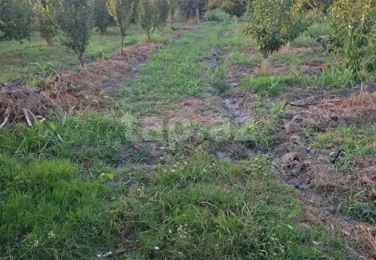 0 m² Obyekt / Ofis , Xaçmaz