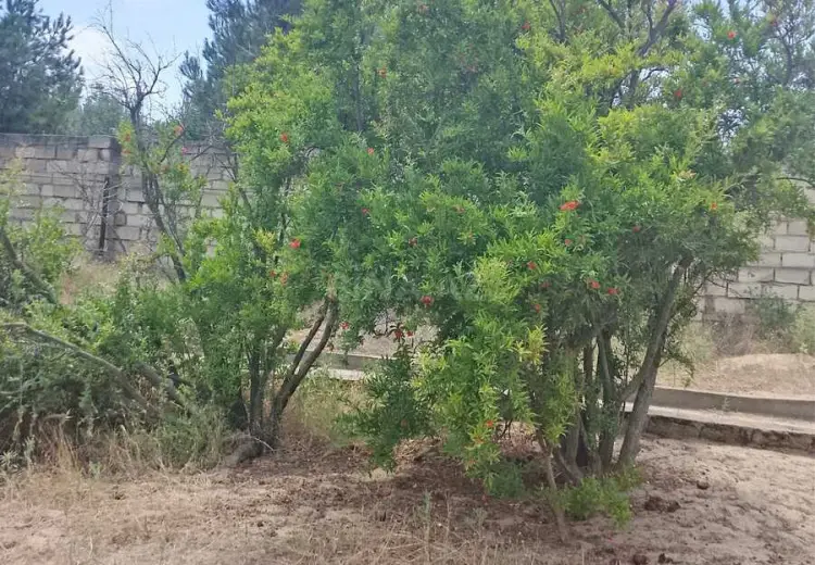 4 sot Torpaq Satılır, Pirşağı qəs., Sabunçu, Bakı