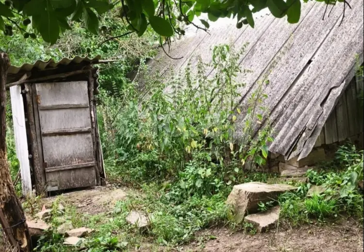 3 otaqlı mənzil , Şəmkir