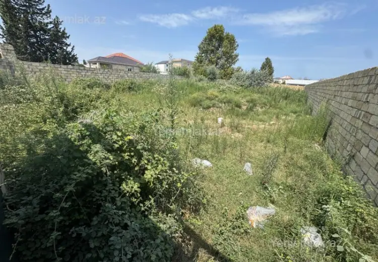6 sot Torpaq Satılır, Novxanı, Abşeron