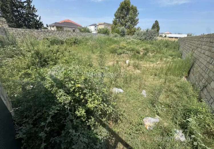 6 sot Torpaq Satılır, Novxanı, Abşeron