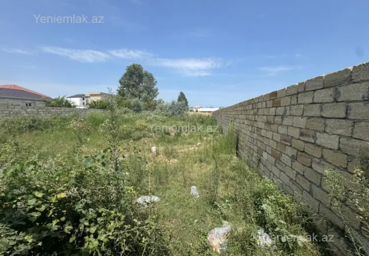 6 sot Torpaq Satılır, Novxanı, Abşeron