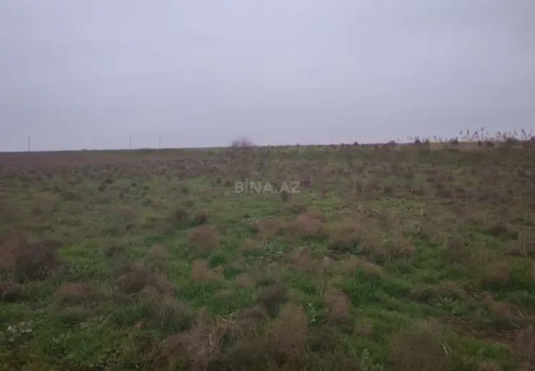 2312 sot Torpaq Satılır, Biləsuvar