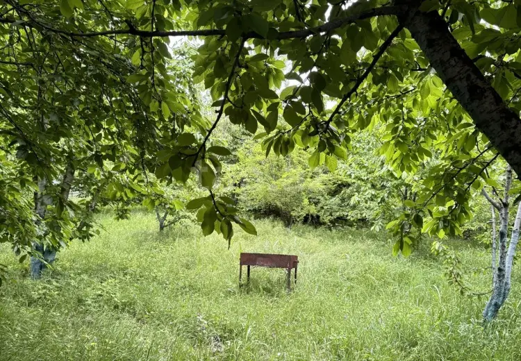 4 otaqlı mənzil , Quba