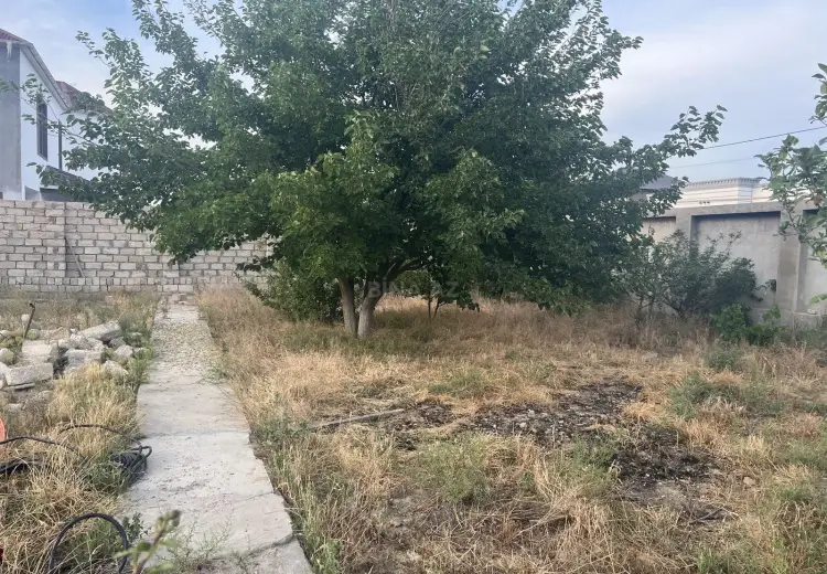 12 sot Torpaq Satılır, Şüvəlan, Xəzər, Bakı