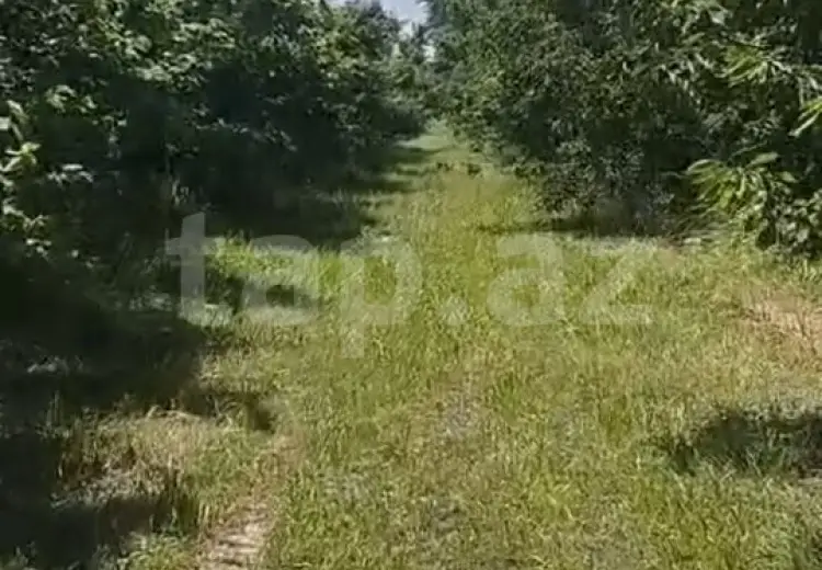 0 m² Obyekt / Ofis , Xaçmaz