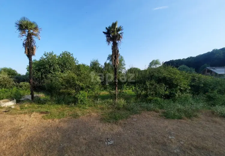 6 otaqlı mənzil , Astara
