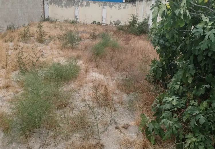 2.5 sot Torpaq Satılır, Hövsan qəs., Suraxanı, Bakı