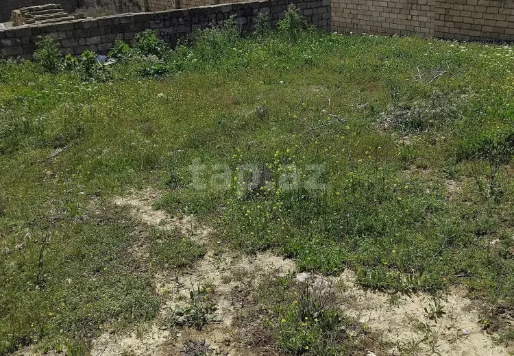 0 m² Obyekt / Ofis , Saray, Abşeron
