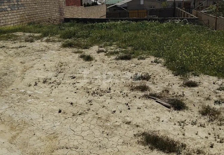 0 m² Obyekt / Ofis , Saray, Abşeron
