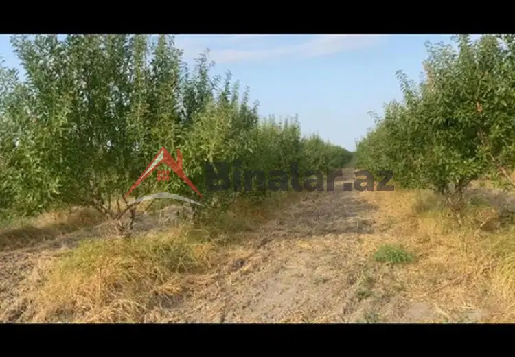 412 sot Torpaq Satılır, Şabran