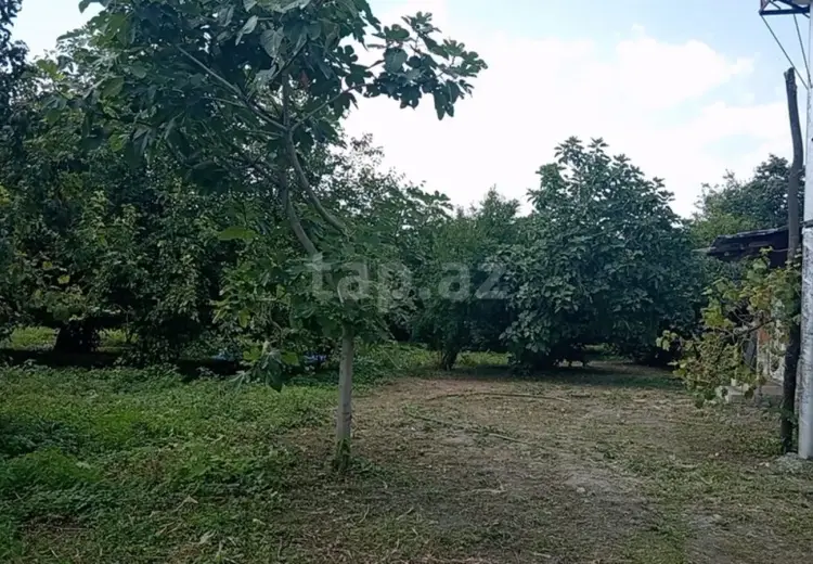 0 m² Obyekt / Ofis , Zaqatala