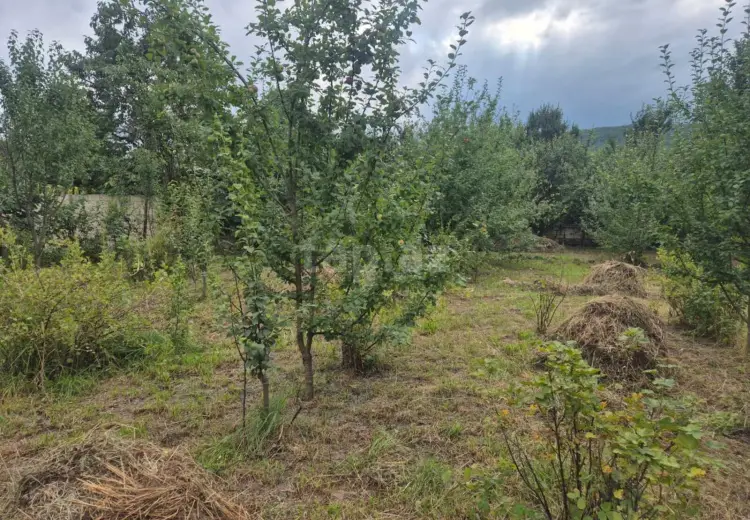 0 m² Obyekt / Ofis , Bakı