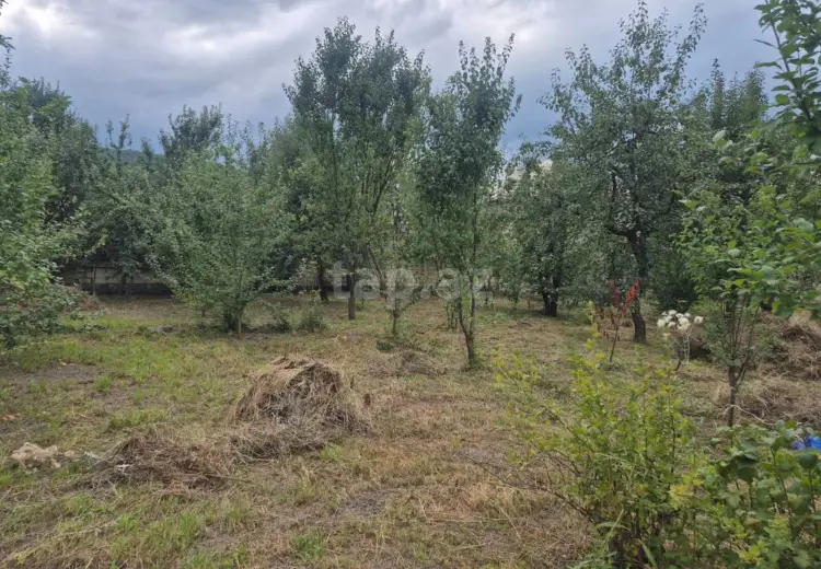0 m² Obyekt / Ofis , Bakı
