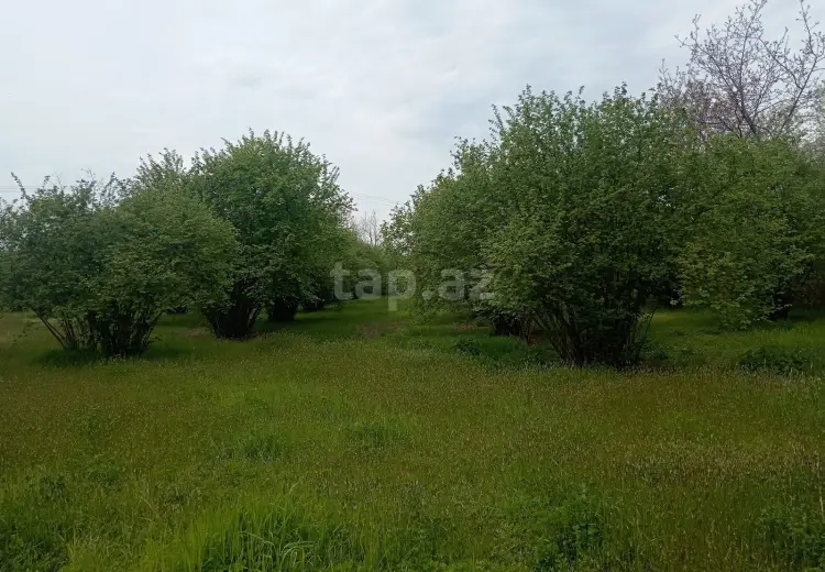0 m² Obyekt / Ofis , Zaqatala