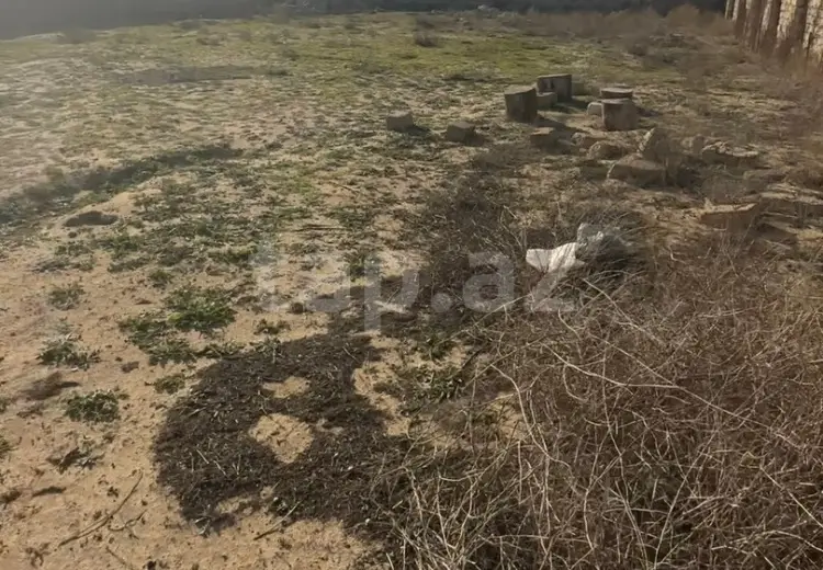 0 m² Obyekt / Ofis , Nardaran qəs., Sabunçu, Bakı