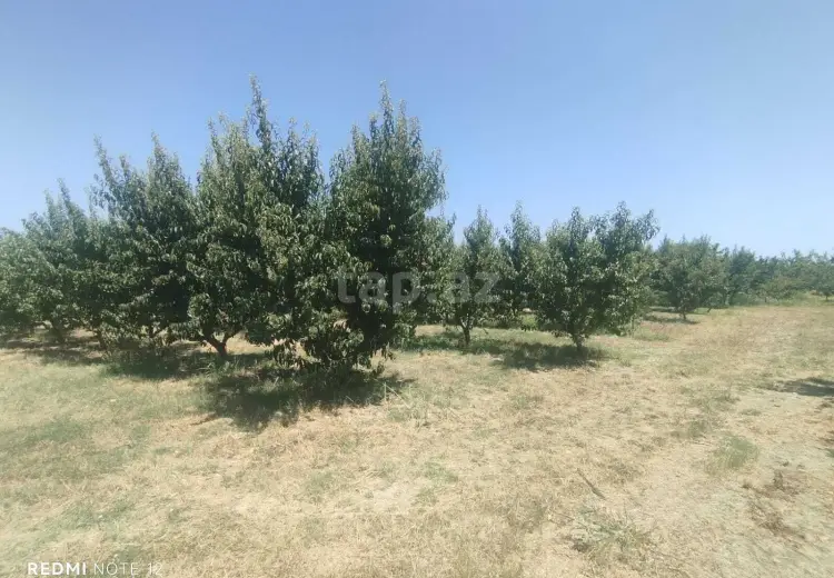 0 m² Obyekt / Ofis , Qusar