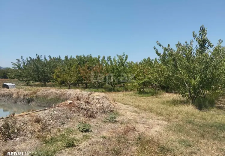 0 m² Obyekt / Ofis , Qusar