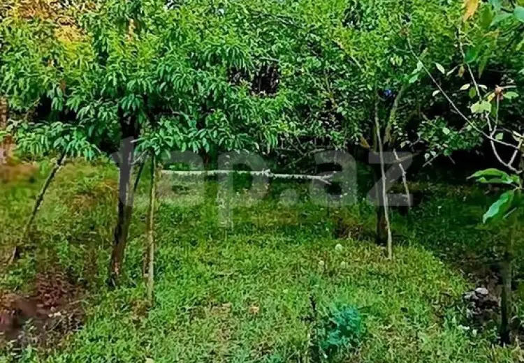 0 m² Obyekt / Ofis , Bakı
